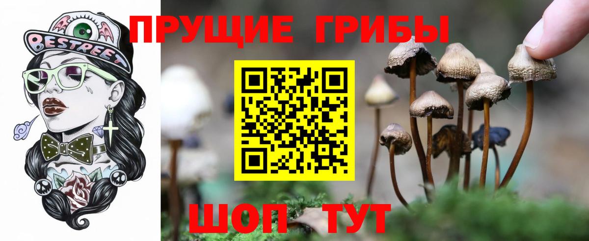 Галлюциногенные грибы GOLDEN TEACHER  Псилоцибиновые грибы Psilocybine cubensis  Вход с VPN  Бор 